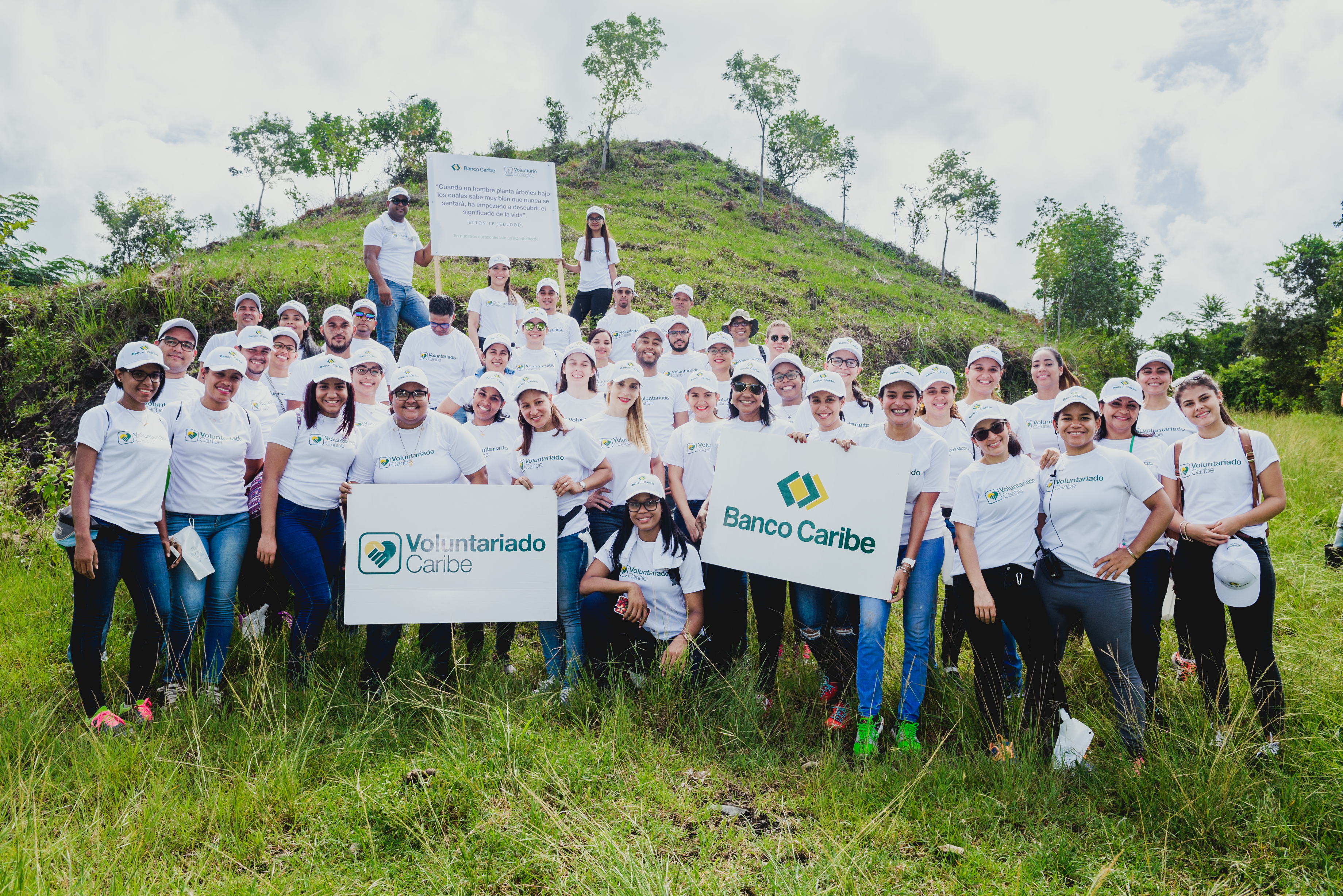 Voluntarios de Banco Caribe plantan 7 mil árboles en jornadas de reforestación